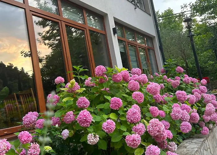 Villa Bunski Biser