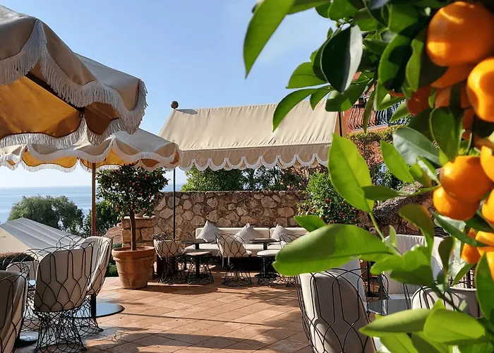 Il Pellicano