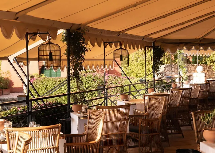 Il Pellicano