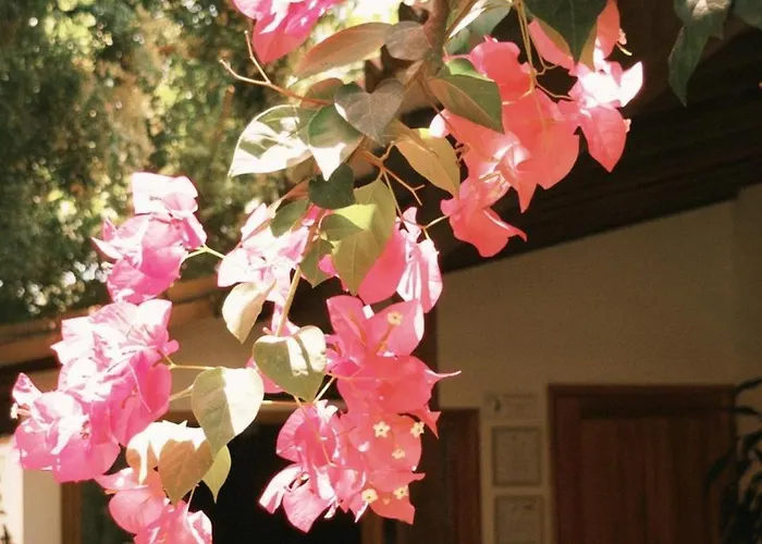 Hotel Jardin Boutique Rodadero