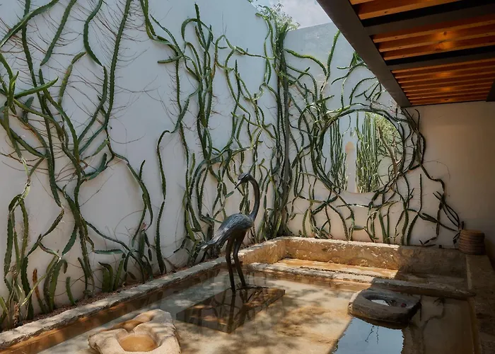 Casa Carmen Xolotl