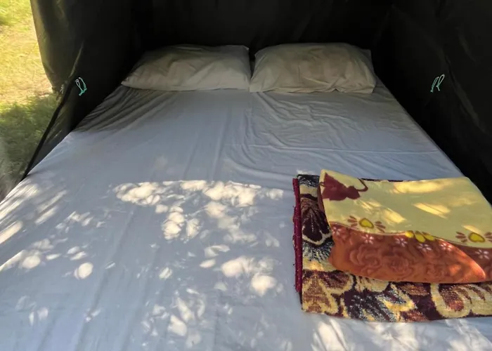 Waveside Camping