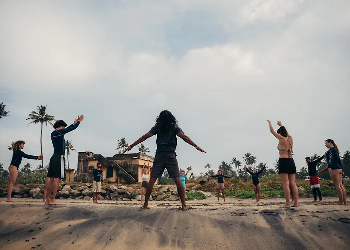 Paddle Cult Surf & Yoga