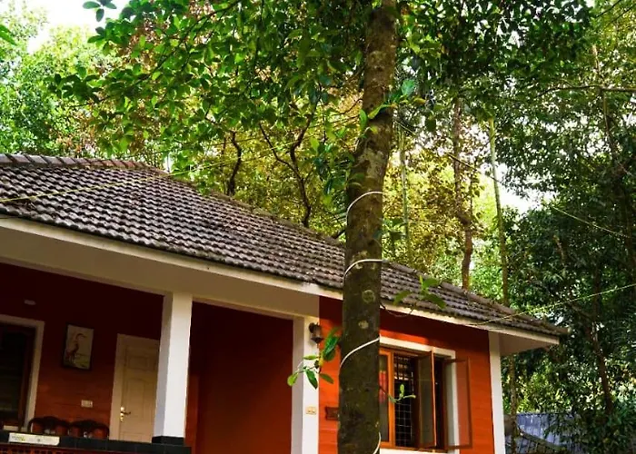 Vihara Inn Resort - Vythiri