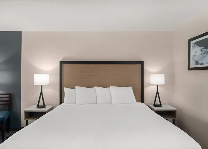 Baymont By Wyndham Columbia, Mo Hotel
