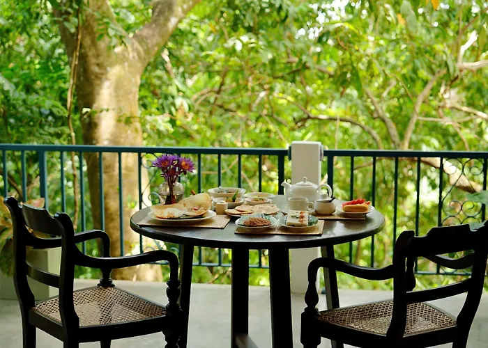Ceylon Olive Galle
