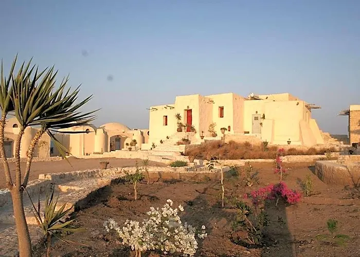 The Oasis