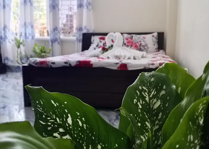 Swapnoneel Abha Eco Resort