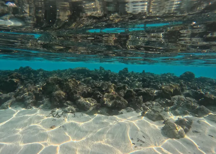 Boli Dhigurah