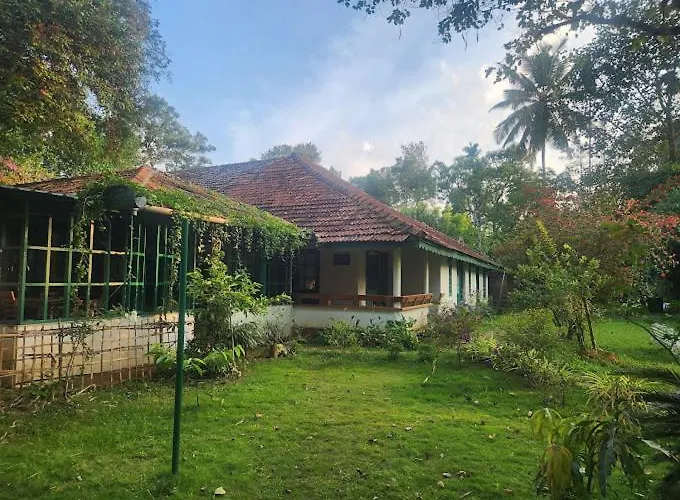 Wayanad Turmerica Premium Pool Resort