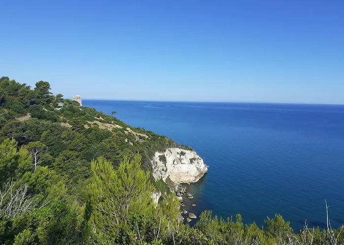 Casa Merla, terrazza vista mare