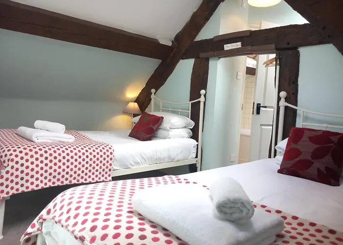 The Dragon Hotel
