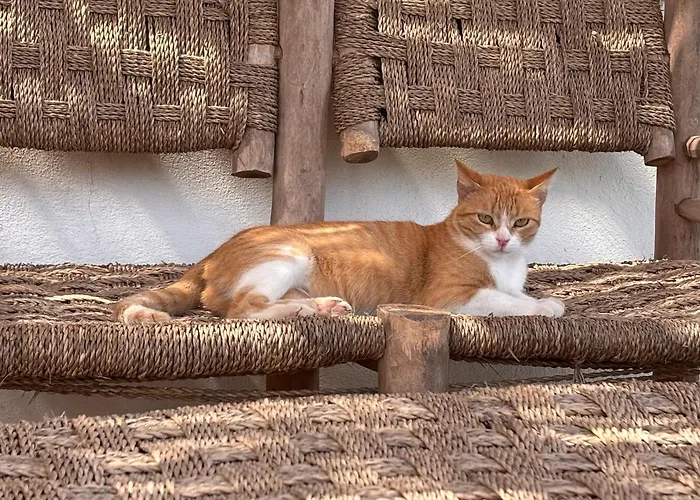 Riad La Tempérance