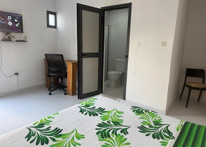 Maison Mimosa