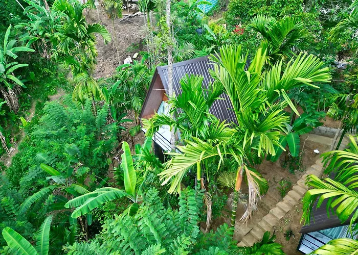 Silver Mist Jungle Cabana Ella