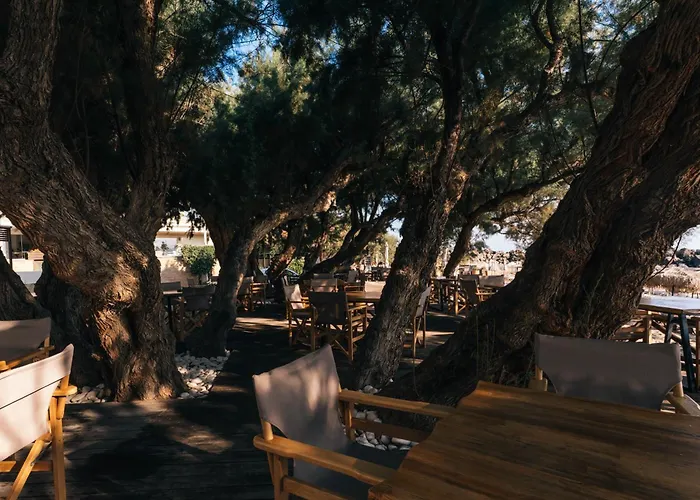 Aphrodite Beach