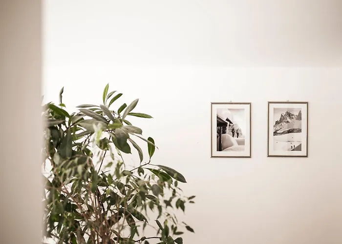 B&B Villa Angelino