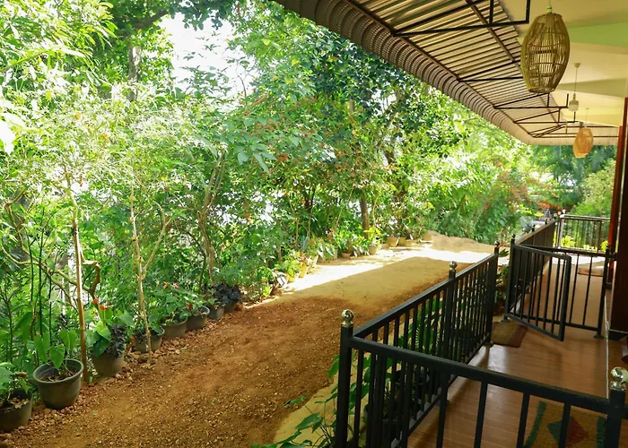 The Dream Homestay