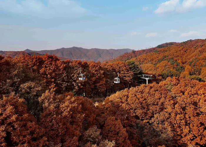 Phoenix Resort Pyeongchang