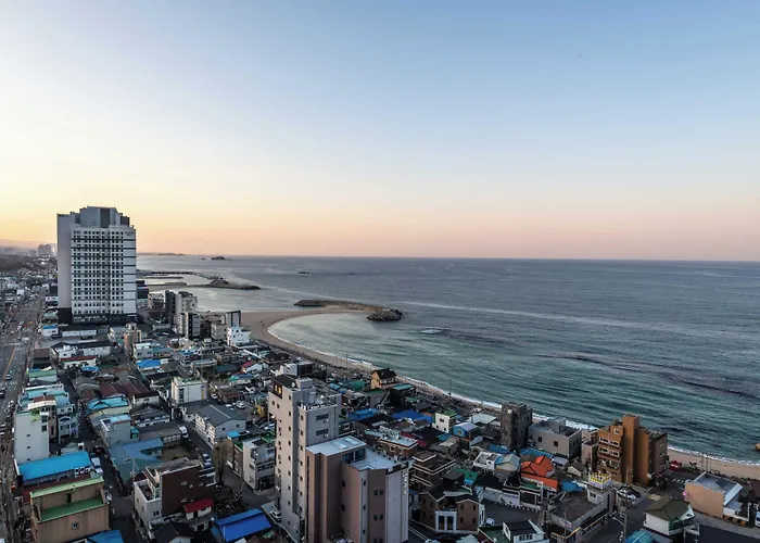 More Than Sokcho