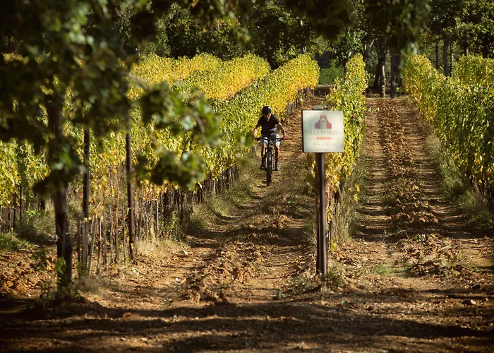 Villa Le Prata - Winery&Accommodation - Adults Only