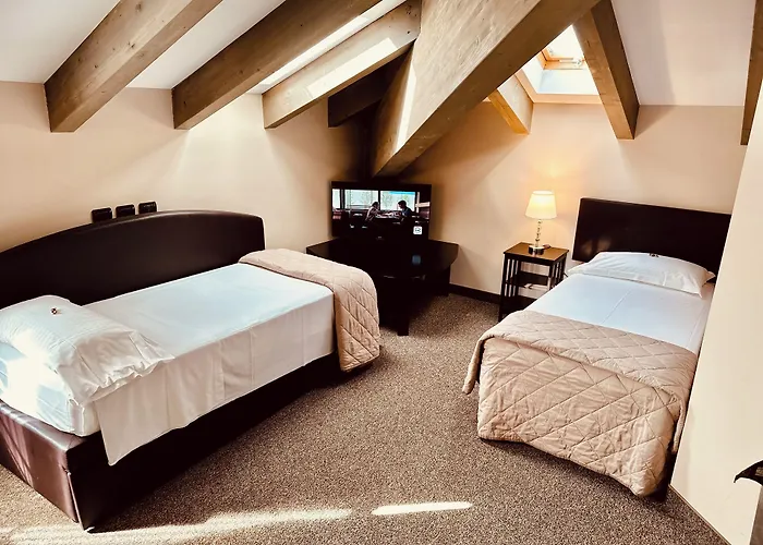 Hotel Malpensa Inn Aeroporto