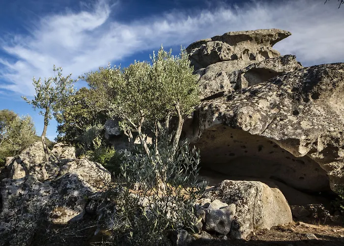 Gallicantu Stazzo Retreat