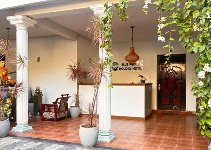 Mirissa Blue Whale Holiday Hotel