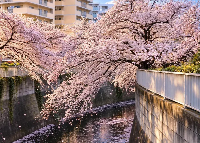 Rosenheim Tokyo Shinjuku Hotel