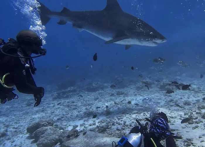 Silver County Fuvahmulah Diving Hotel