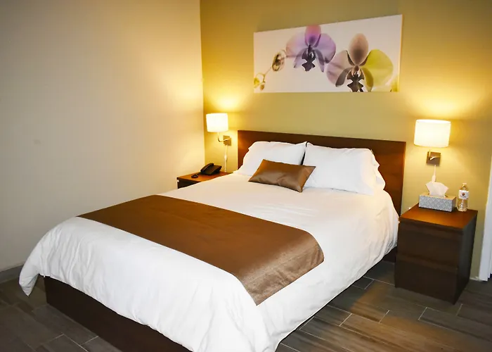 California Comfort & Suites