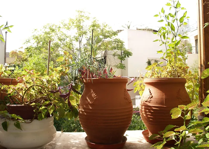 Acropolis House Hotel Classic Atene