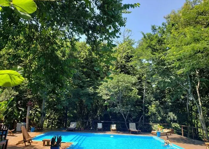 Selva De Laurel