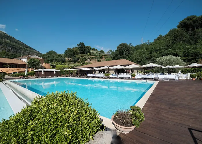 Tenuta D'Amore