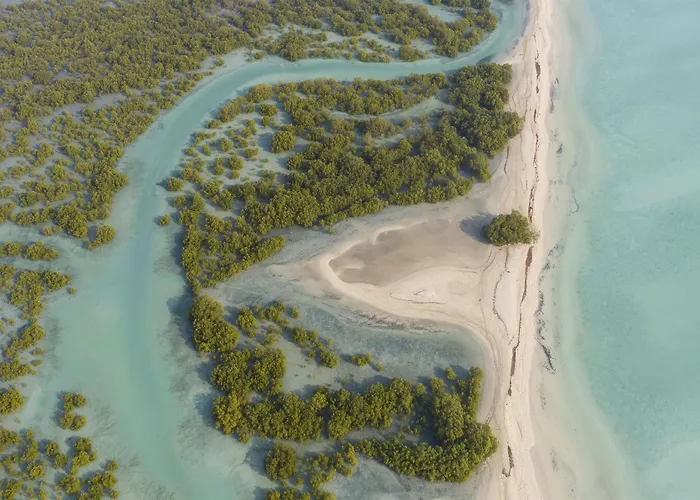 Anantara Sir Bani Yas Island Al Yamm Villa Resort