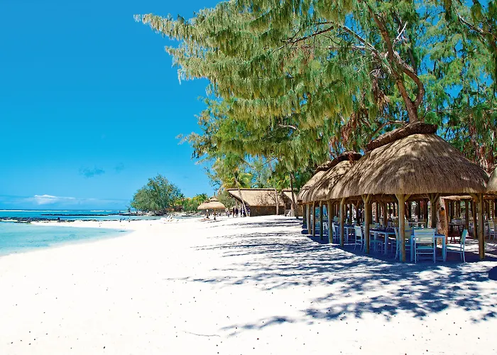 C Mauritius Palmar (Adults Only)