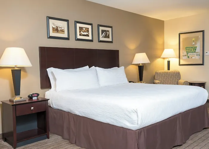 Holiday Inn Aurora North - Naperville By Ihg