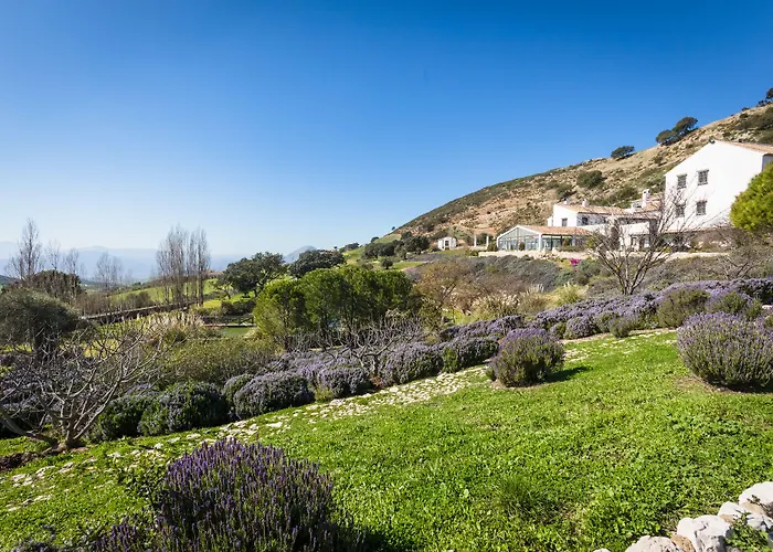 La Fuente del Sol Hotel&Spa