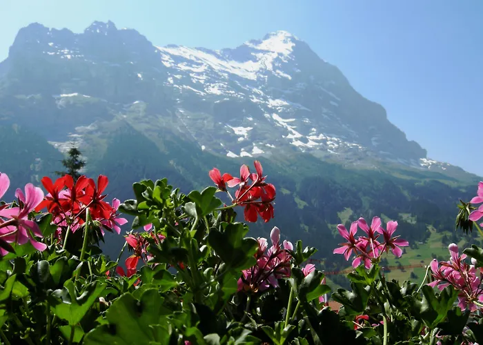 Alpenhof