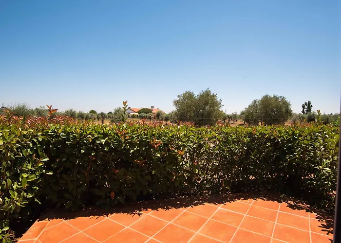 Vila Gale Alentejo Vineyard - Clube De Campo
