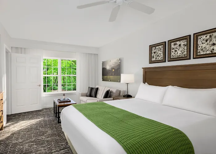 Marriott'S Fairway Villas