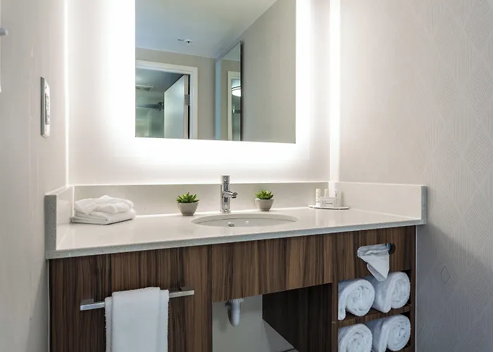 Springhill Suites By Marriott Austin The Domain Area