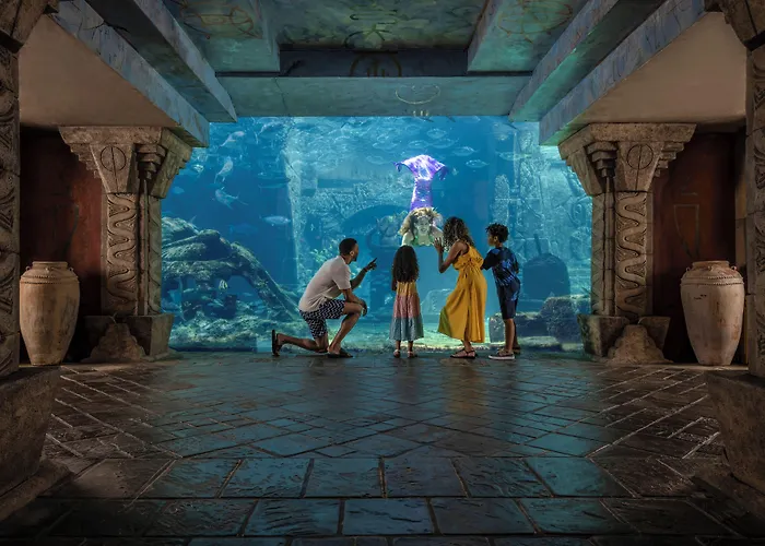 The Coral At Atlantis