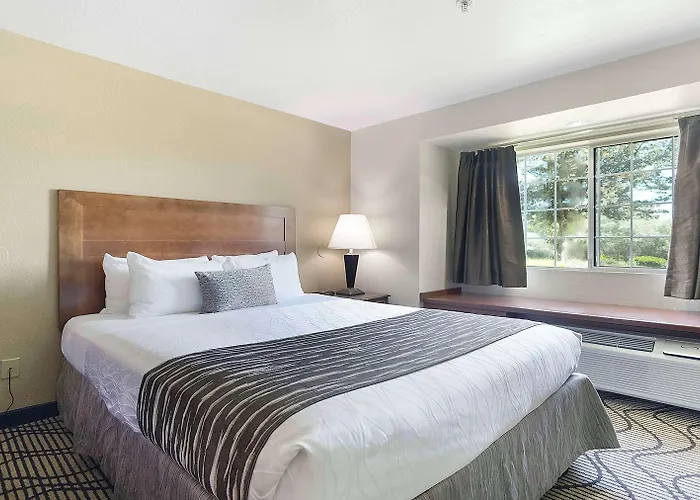 Surestay Plus Hotel By Best Western Rocklin