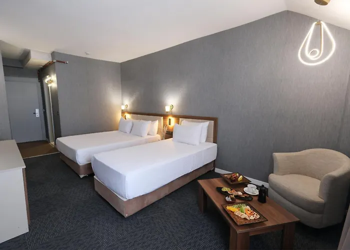 Dedeman Palandoken Resort Hotel