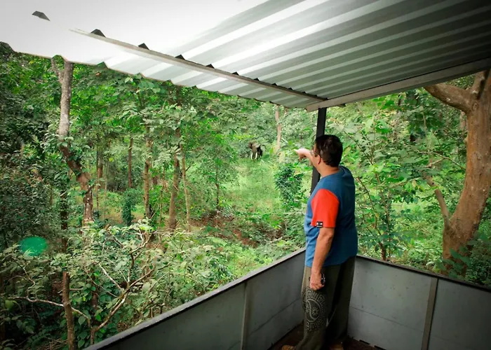 Pugmarks Jungle Lodge