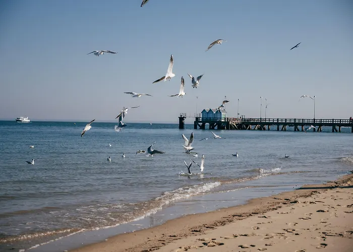 Hotel Le B d'Arcachon