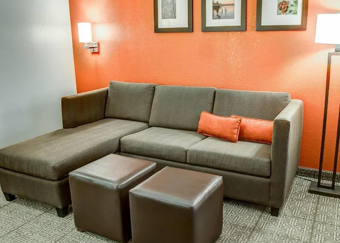Comfort Suites Tyler South