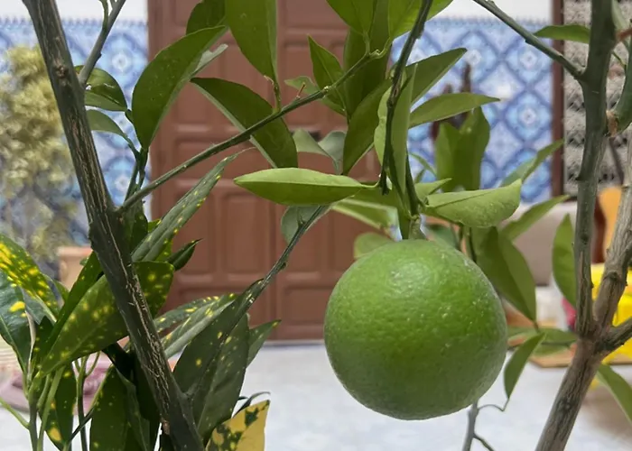 Bed and Breakfast Dar Nour Medina Marrakesh