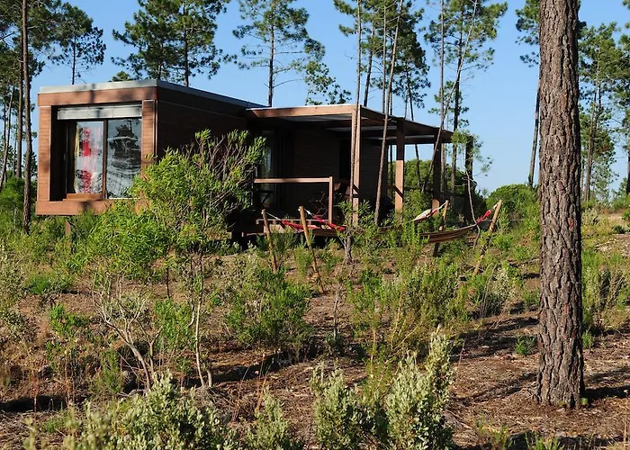 Cocoon Eco Design Lodges